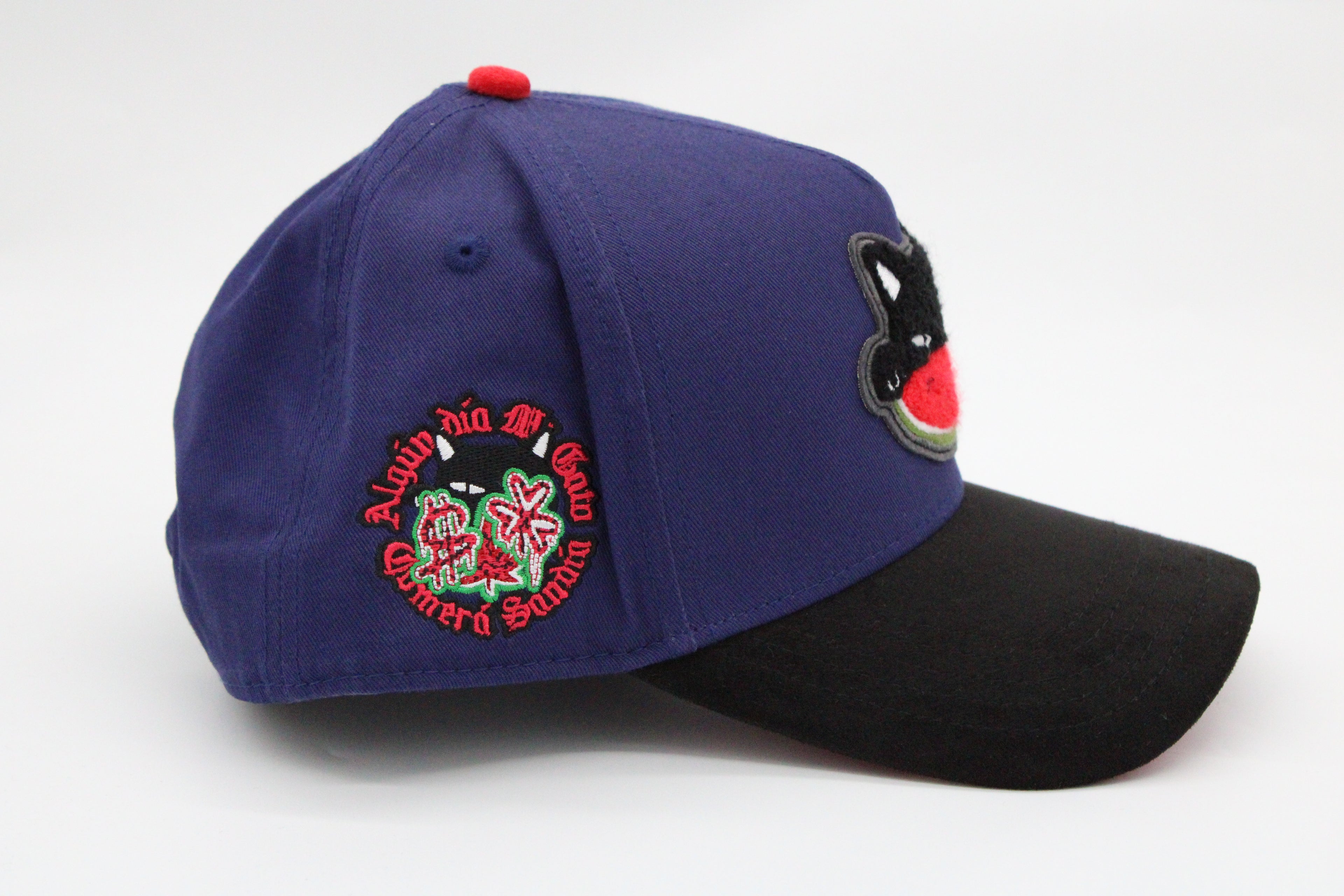 Gorra JC Hats "Watermelon Cat Blue/Black"