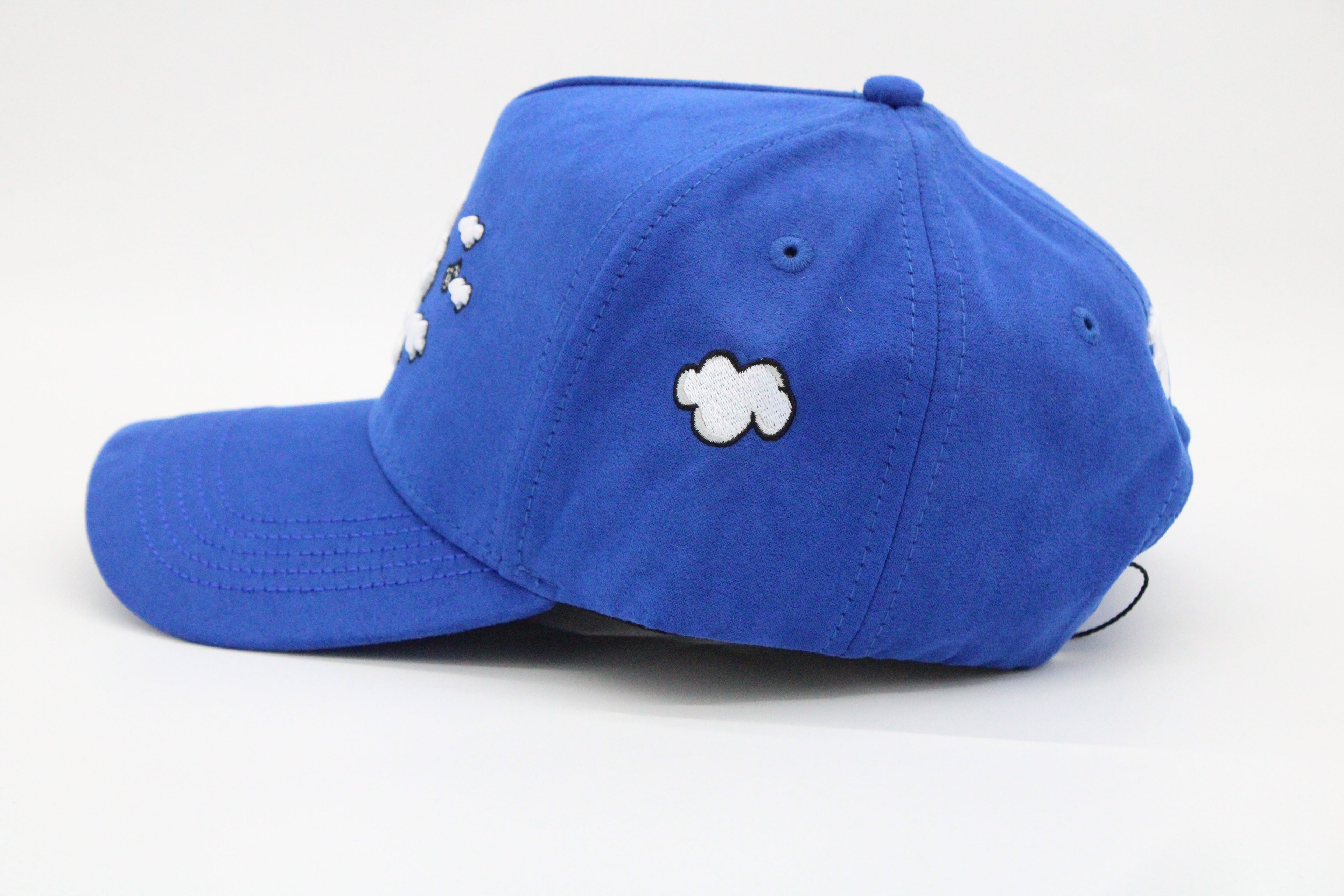 Gorra 31 Hats "LA Money Clouds"