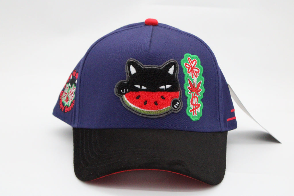 Gorra JC Hats "Watermelon Cat Blue/Black"